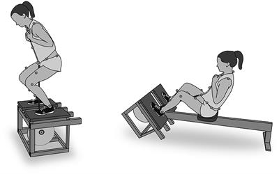 Frontiers Comparison of Joint and Muscle Biomechanics in Maximal